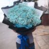 Nhịp Đập Yêu Thương BB127