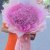 Hồng Yêu Thương BB167