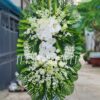 Ánh Chiều Tà T144