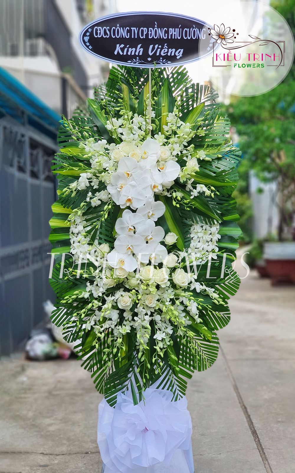Ánh Chiều Tà T144