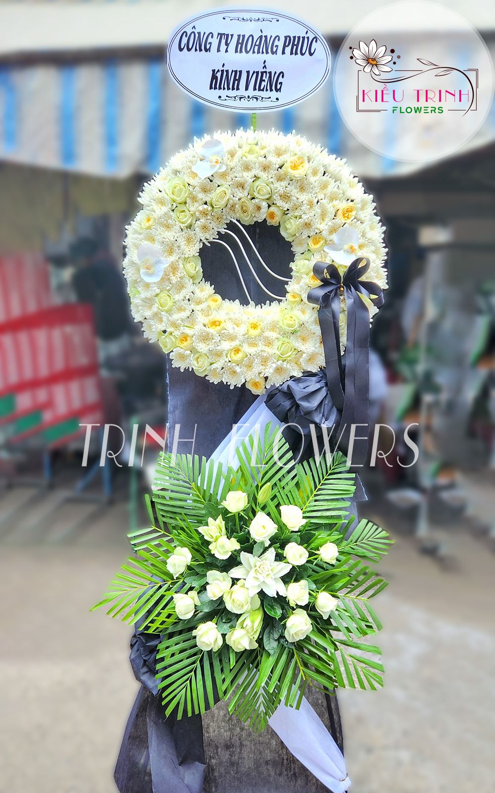Nhớ Thương T161