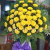 Vô Cùng Thương Tiếc T169