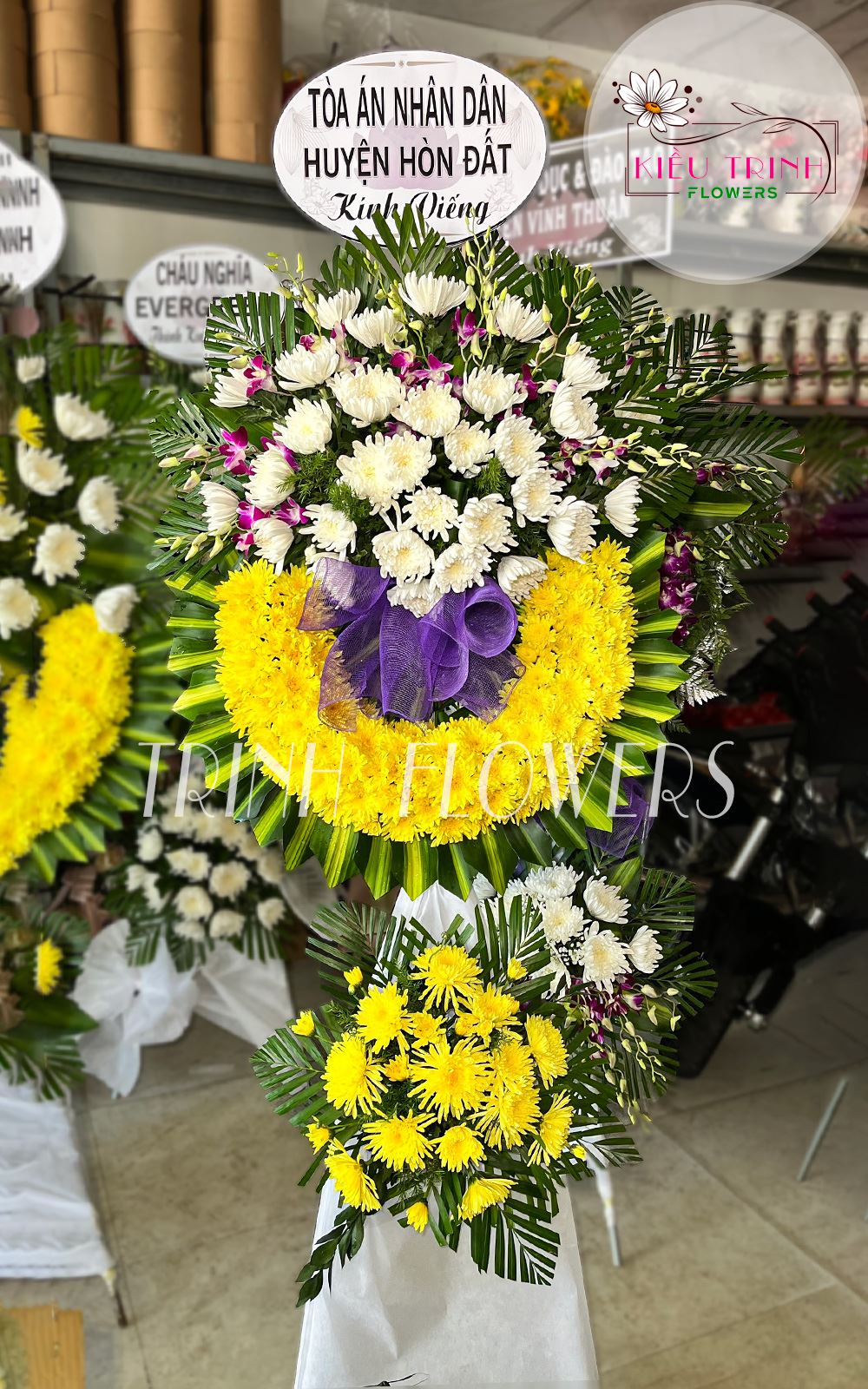 Cõi Vĩnh Hằng T178