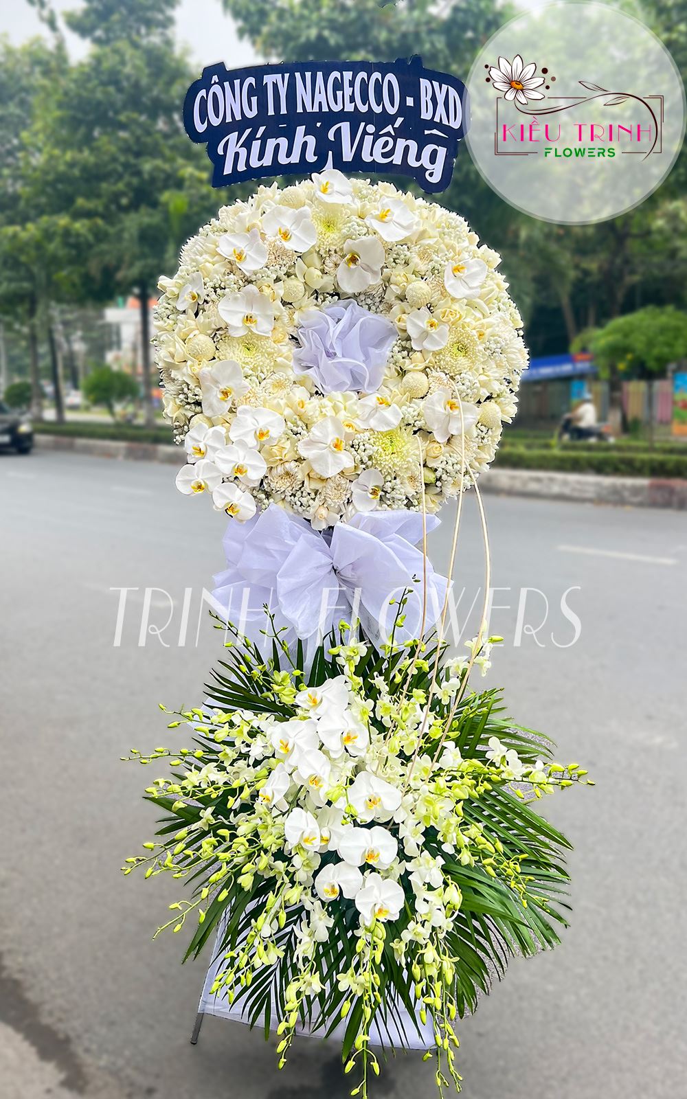 Đồng Cảm T182