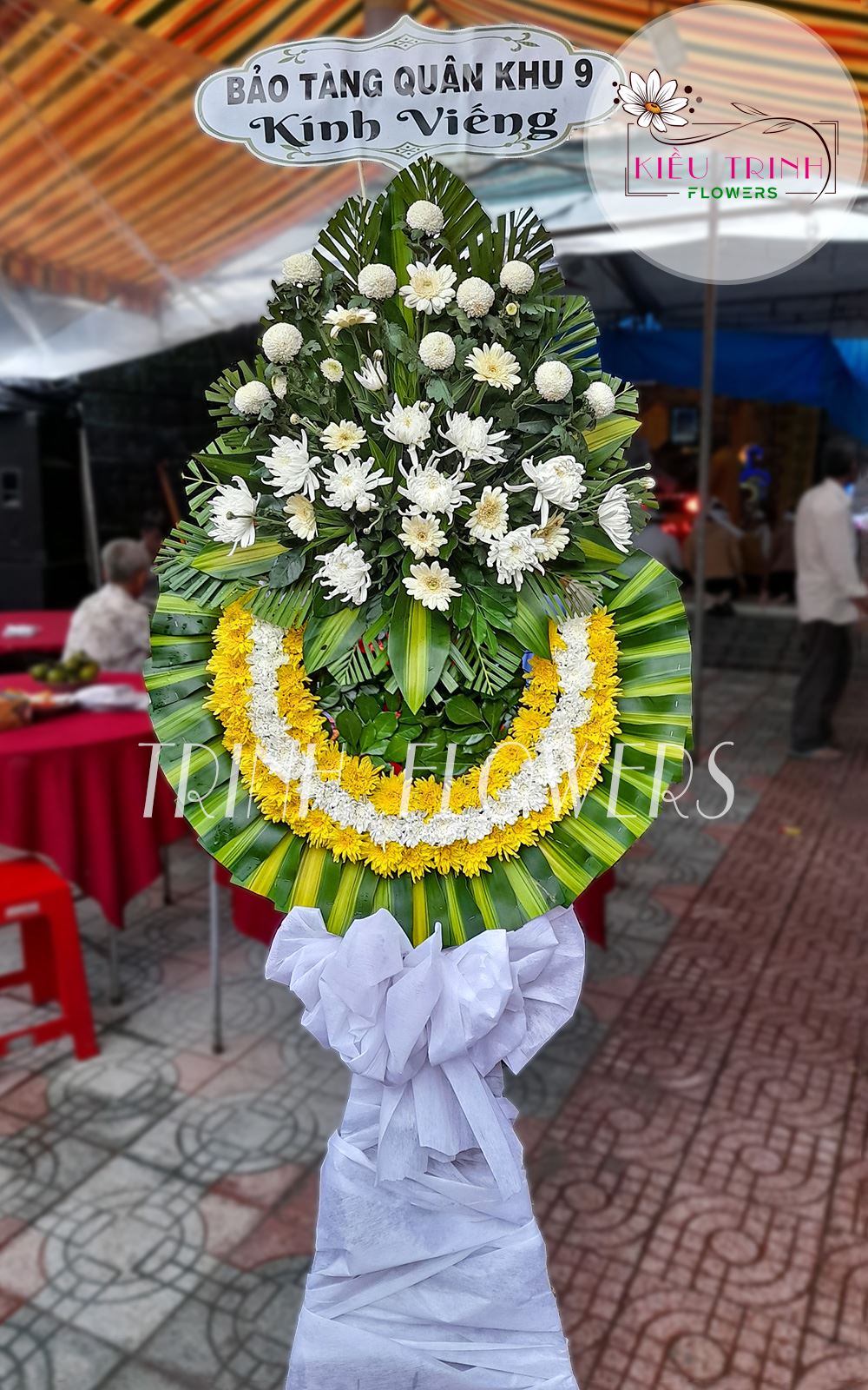 Nỗi Đau T185