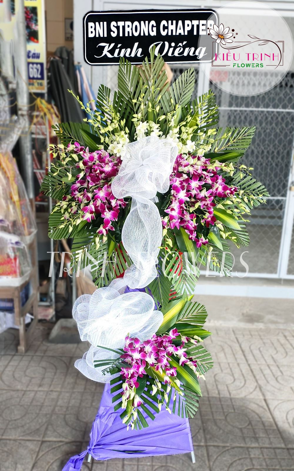 Vòng Lễ Phù Du T194