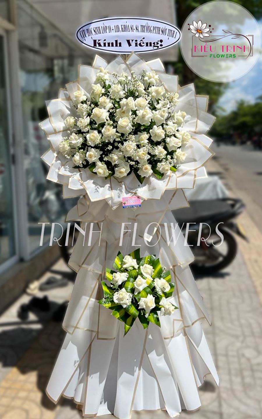 Hạ Trắng T202