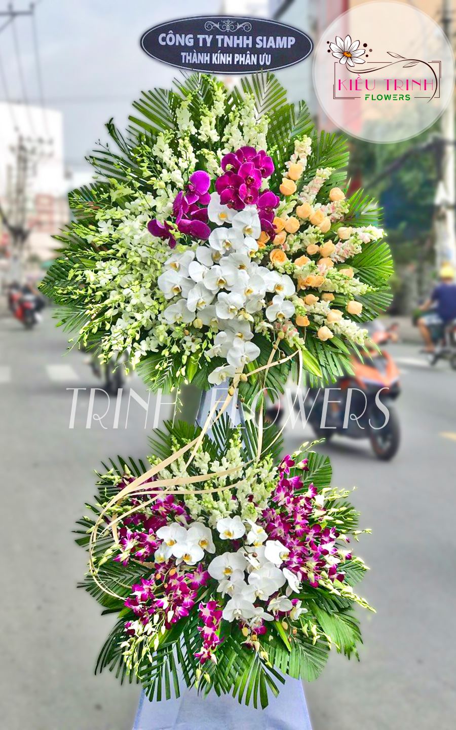 Thanh Thản T217