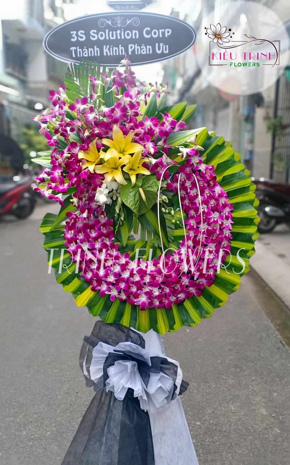 Ánh Sáng Phục Sinh T223