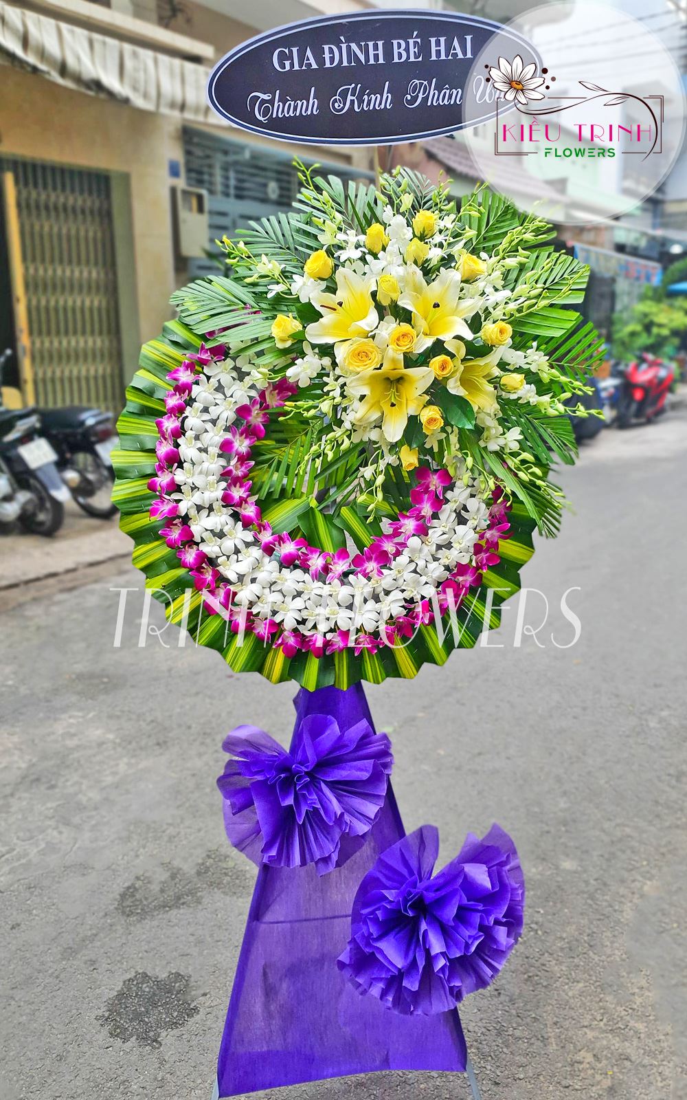 Bước Qua Thế Giới T225