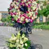 Sương Trắng T231