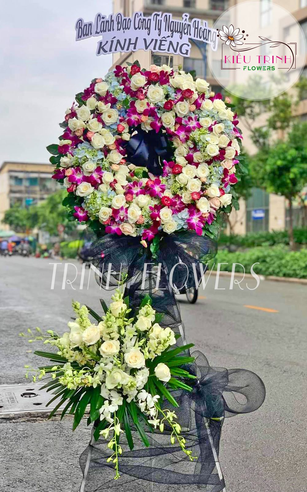Sương Trắng T231