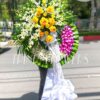 Từ Biệt T242
