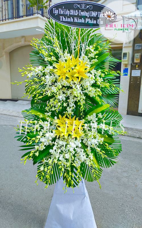 Tiễn Đưa T246