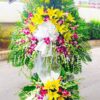 Giọt Lệ Vàng T249