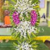 Màu Lưu Luyến T277