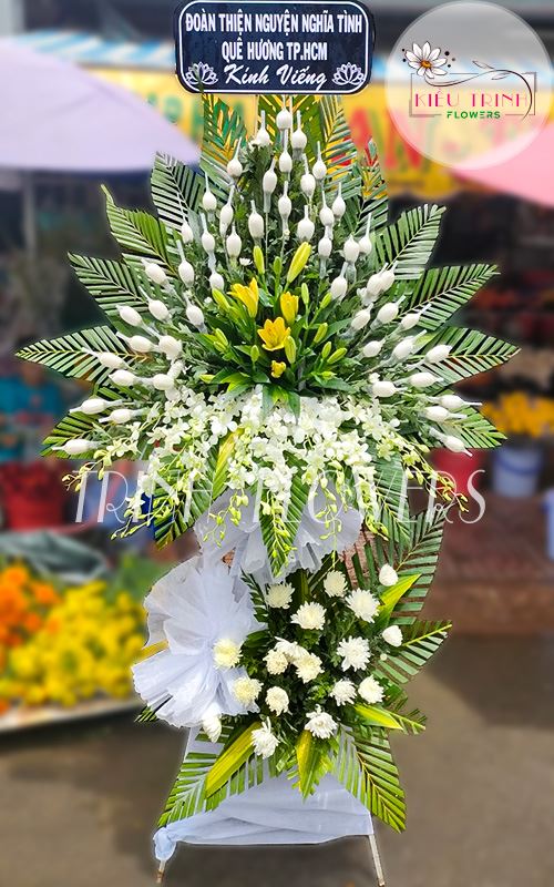 Sâu Sắc T282