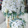 Nhớ Thương T285