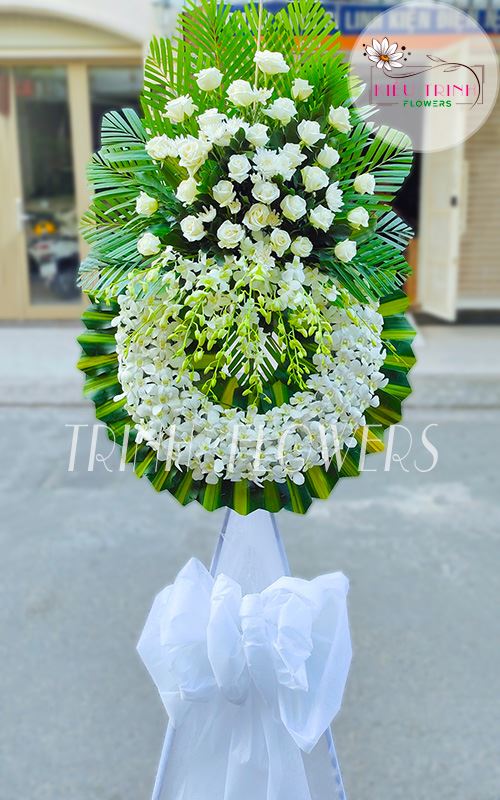 Nỗi Nhớ T300