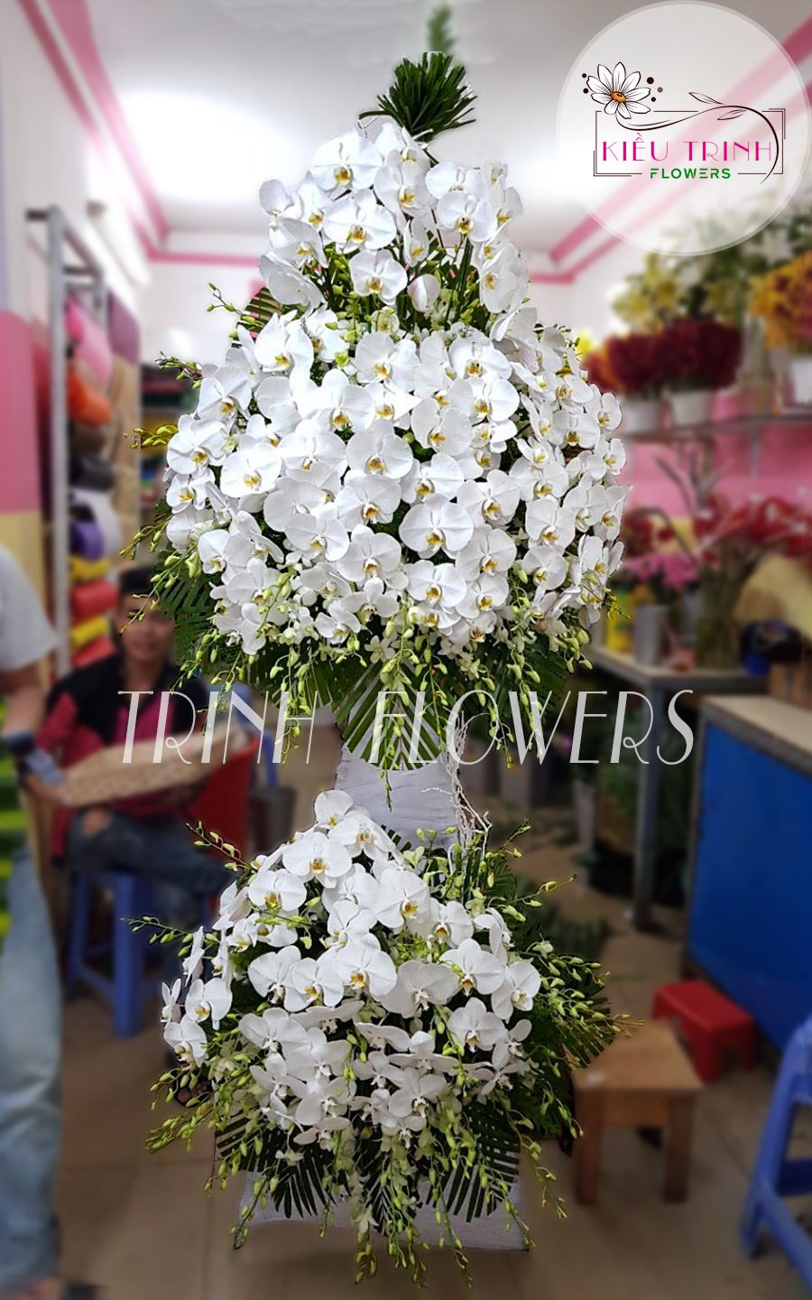 Nốt Trầm T331