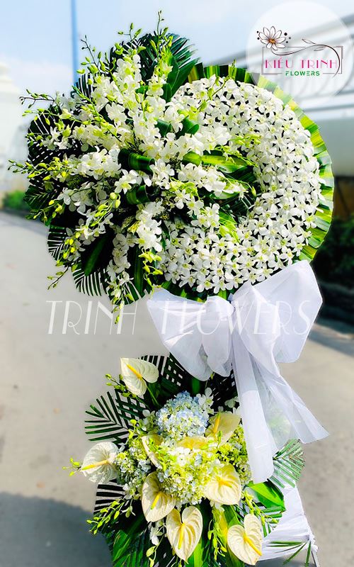 Thanh Thản T345