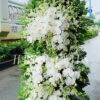 Hoa Chia Buồn Hồi Ức T347