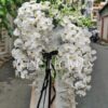 Hoài Niệm T351