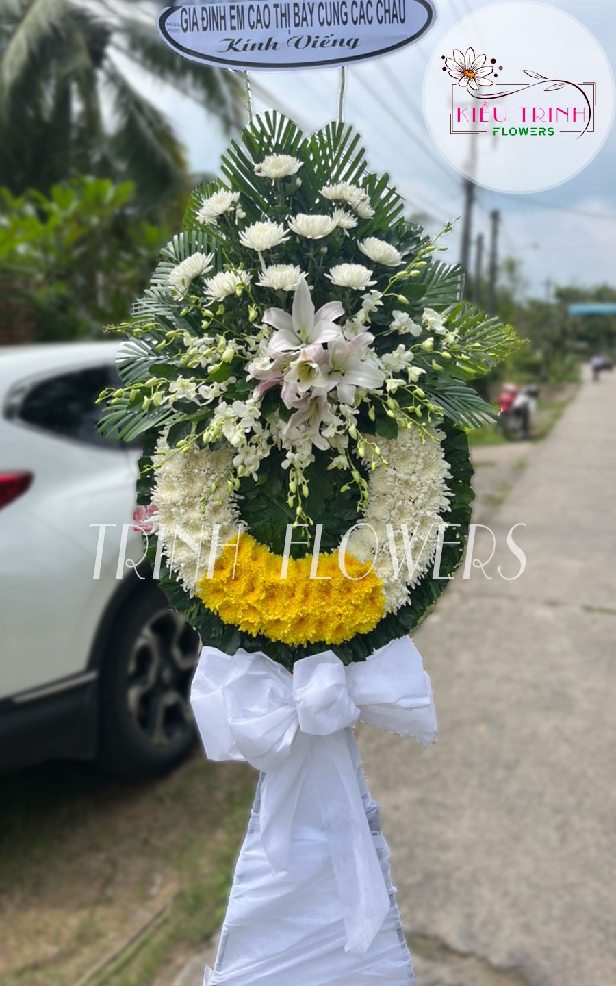 Bước Qua Thế Giới T353