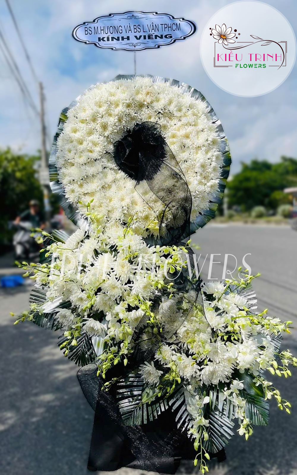 Giọt Lệ Vàng T381