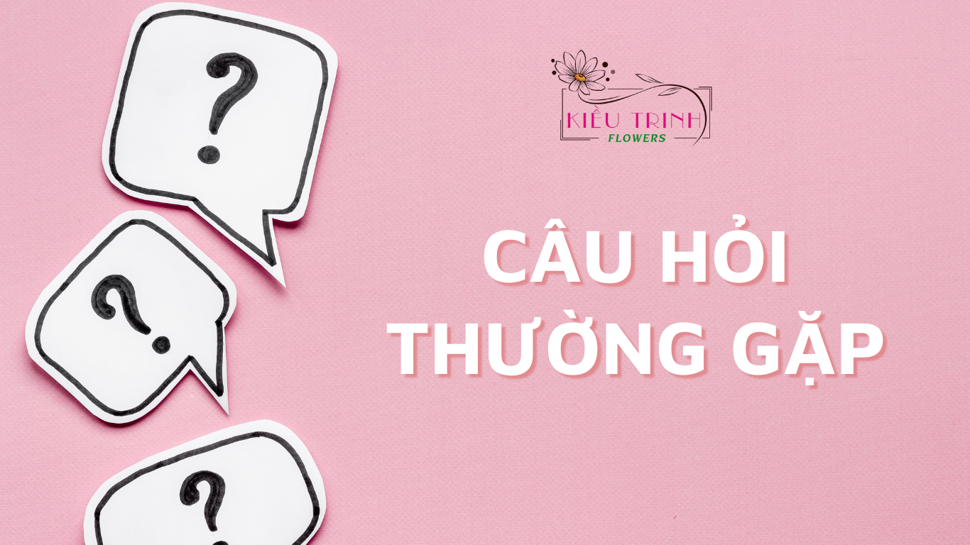 câu hỏi thường gặp