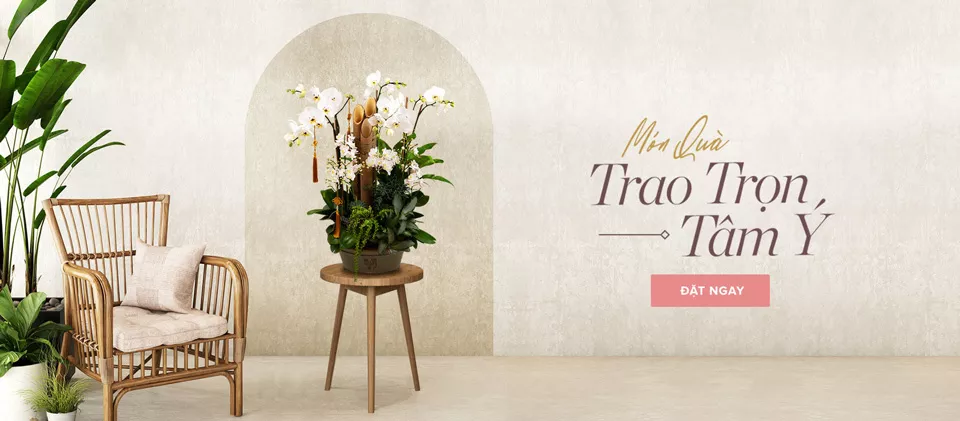 Shop Hoa Kiều Trinh